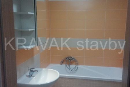 rekonstrukce bytovy dum_01_Brno venkov_20180606_1136341_podkrovi Rousinov STAVBAs B .jpg