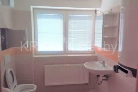 rekonstrukce vestavba_02_Brno venkov_20180702_083534_byt C2 Rousinovo .jpg