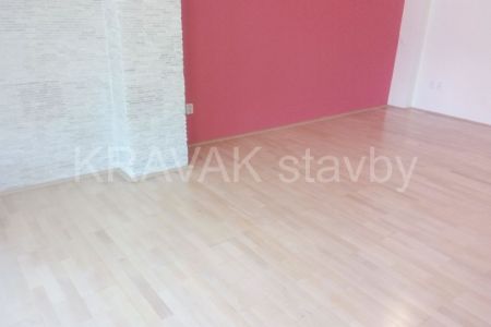 rekonstrukce pudy_01_Brno venkov_02_20180908_133347_283b_TRN_  283b  TRN.jpg